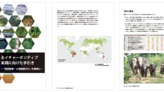 森林破壊の現状、総合商社の取組状況・調査結果をまとめた報告書 『ネイチャーポジティブ実践に向けた手引き』を発表のメイン画像